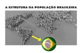 Aspectos populacionais no Brasil 2