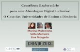 Contributo Exploratório para uma Abordagem Digital Inclusiva : O Caso das Universidades de Ensino a Distância. (CAFVIR, 2013)