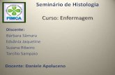 Seminário de histologia