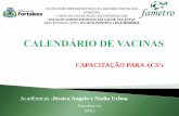 Calendário de vacinas. apresentaçãopptx