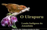 O Canto Do Uirapuru