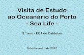 Visita de Estudo ao Oceanário do Porto