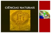 Ciências naturais 7   história da terra - o que dizem os fósseis - parte iii