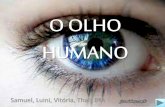 O olho humano, 9º ano