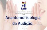 Diapositivo sobre Anatomofisiologia da Audição.