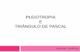 Pleiotropia + Triângulo de Pascal