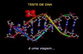 Teste de DNA
