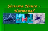 Sistema Neuro Hormonal 9ºAno