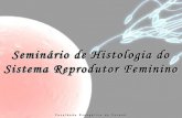 Seminário do sistema reprodutor feminino - Histologia
