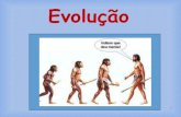 Evolução  (primeiros conceitos)