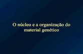 Núcleo e organização do material genético