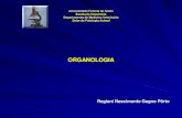 Aula 5 de Histologia - Organologia e sistema circulatório