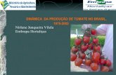 Dinâmica regional da produção de tomate no Brasil, 1975 a 2003