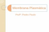Membrana plasmatica