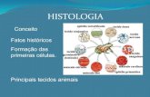 Diferenciação celular e histologia 2014
