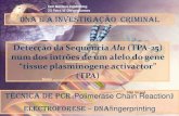 Dna invest criminal-pcr-electroforese(dn-afingerprint)