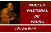 Pps 4   modelo pastoral de pedro - pré-teológico