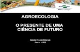 Gabriel Miranda - Agroecologia Julho