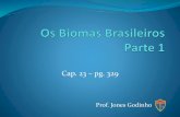 Os biomas brasileiros.ppt