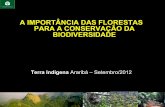 Florestas e biodiversidade araribá 2012