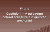 Cap   4 - a paisagem natural brasileira e a questão ambiental