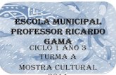 Escola municipal professor ricardo gama (1)