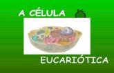 Celula eucariotica