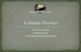 Células-Tronco [biossomos.blogspot.com]