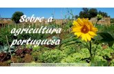 Sobre a agricultura portuguesa_pormenores