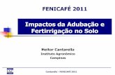 Fenicafe 2011 impactos da adubação e fertirrigação do cafeeiro no solo (cantarella)