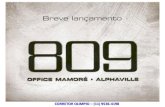 809 Office Mamore