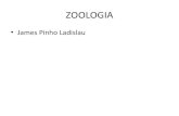 Zoologia aula 05