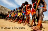 Cultura indígena - Por Kívia Caroline