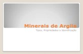 Minerais de argila tipos