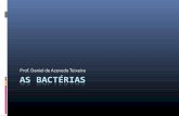 Microbiologia Básica -  Bactérias