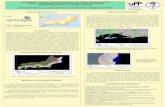 Mapeamento Digital e Monitoramento das áreas de mangues no litoral fluminense, através de tecnologias digitais de geoprocessamento e análise espacial