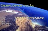 Desflorestação e Desertificação