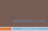 4   biomoléculas