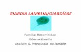 Parasitologia - Giardia lamblia