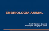 Citologia   embriologia animal