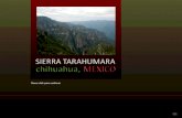 Sierra tarahumara