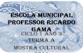 Escola municipal professor ricardo gama (2)