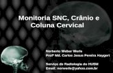 Monitoria snc, crânio e coluna cervical(2)