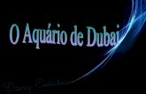 Dubai   aquário