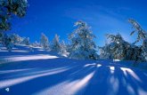 Fotos do Inverno - Espetacular