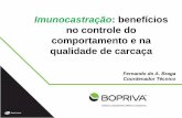 [Palestra] Fernando Braga: Imunocastração - beneficios no controle do comportamento e na qualidade de carcaça - Bopriva