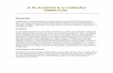 A placenta e_o_cord_o_umbilical
