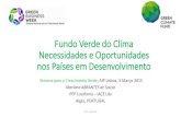 Abrantes 2015 gcf climate finance v2f