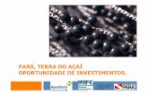 Pará, terra do açaí - Oportunidade de Investimentos