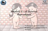 Módulo 3 – o sistema reprodutor